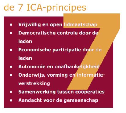 7 ica-principes REScoop.Vlaanderen